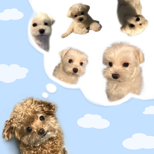 이렇게 하루가 지나가면 어떡해