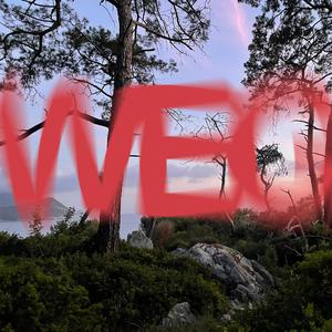 WEG