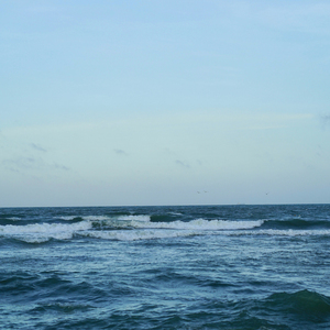 선선한 바람이 불면