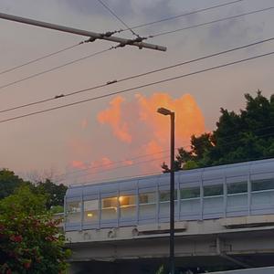 沉溺 (韩语版) (Cover: 邹沛沛/金新菲)