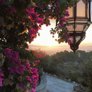 停下了我的黑色捷达