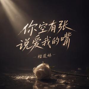 你空有张说爱我的嘴