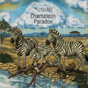 These is bloody shoes.