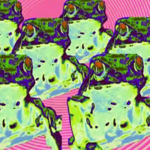 Things Which Shine Are In The Dark