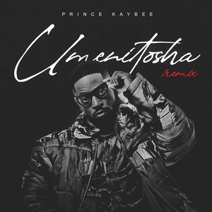 Umenitosha (Beyond Chicago Remix)