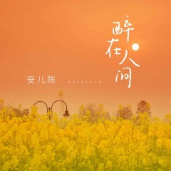 醉在人间 (DJ野花版)