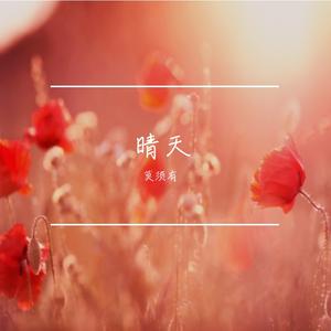 山花终将灿烂(DJ)