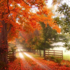 挥着翅膀的女孩