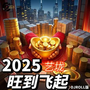 2025旺到飞起 (DJ版伴奏)