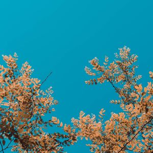 精彩放松的环境