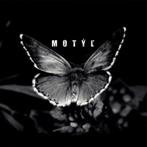 Motyl (feat. WESOME)