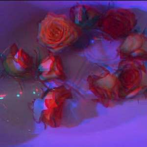 多多（prod by 金桔0RANG3）