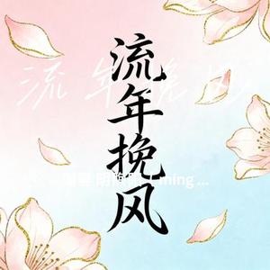 流年挽风