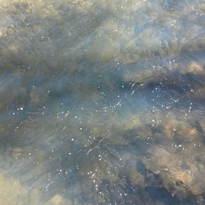 太阳终将会升起