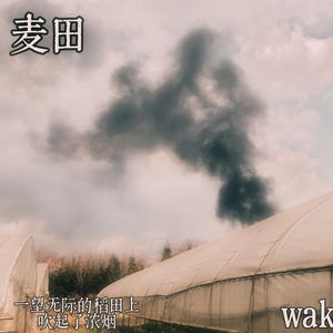 麦田（土壤）