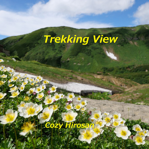 Trekking View