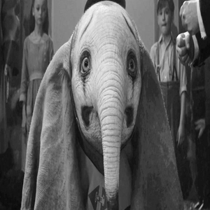 Dust Elephant