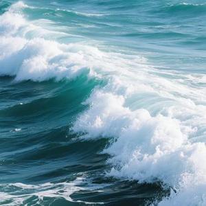 海风吹旧梦