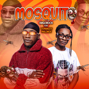 Mosquito