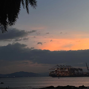 설레 임