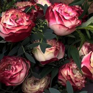 白夜映-几分之几(cover卢广仲)