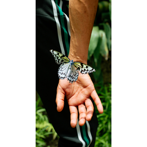 ユリイカ (feat. Esosa Vee)