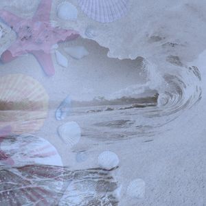 一尘不染睡眠印象数