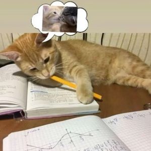 lazy x 网感 type beat “MissingU”