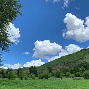 天选福星-徐梦圆