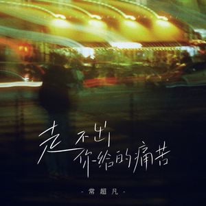 走不出你给的痛苦