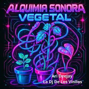 Alquimia Sonora