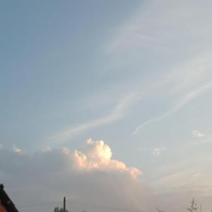 随弹_2022-03-26_004338