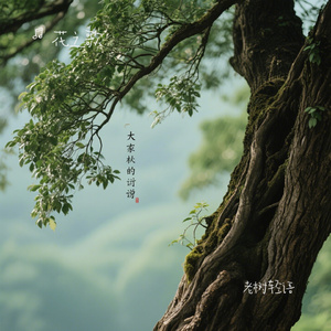 老树轻语