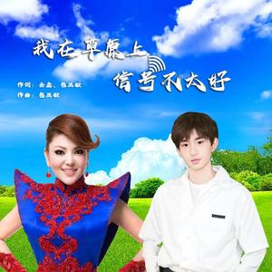 我在草原上信号不太好