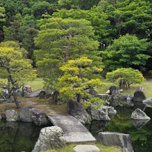 夏の思い出(World Peace Song)