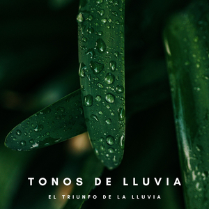 Lluvia Jugosa