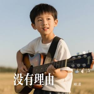 没有理由
