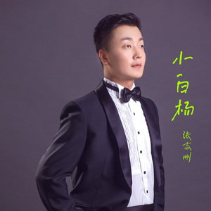 小白杨 完整版 MIX