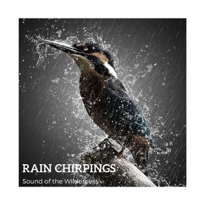 Early Rain, Birds Calling