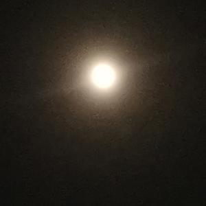 啷个哩个啷1633358872221_224812_track0_224812