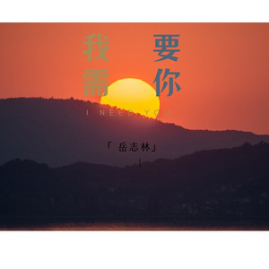 我需要你