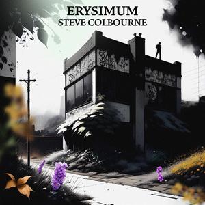 The Moonbathers (feat. Phil Roach)