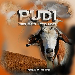 Pudi