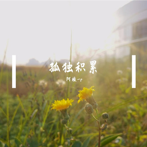 孤独积累