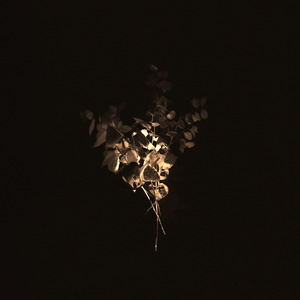 Roadless