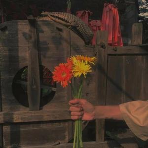 受够（片段翻唱 王靖雯不胖）