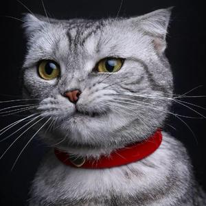 风浪没平息 我宣告奔跑的意义