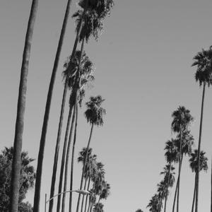 Ever Fallen In Love (With Someone You Shouldn’t’ve)