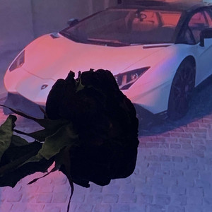 Патриаршие