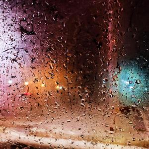 花瓣掉到了地上